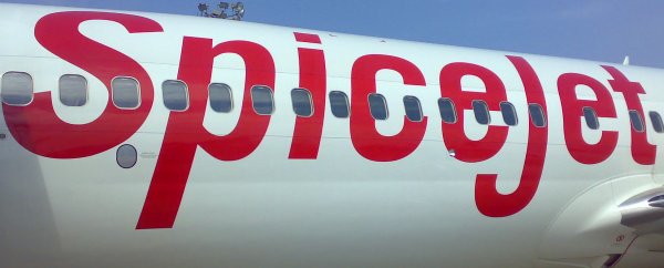 Spicejet airlines logo on an aircraft